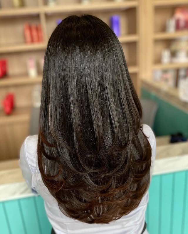 4. Long Feathered Layers with Espresso Brown Ends - Feather Haircuts For Women
