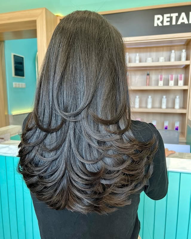 10. Long Rounded Feather Layers in Ash Brown - Feather Haircuts For Women