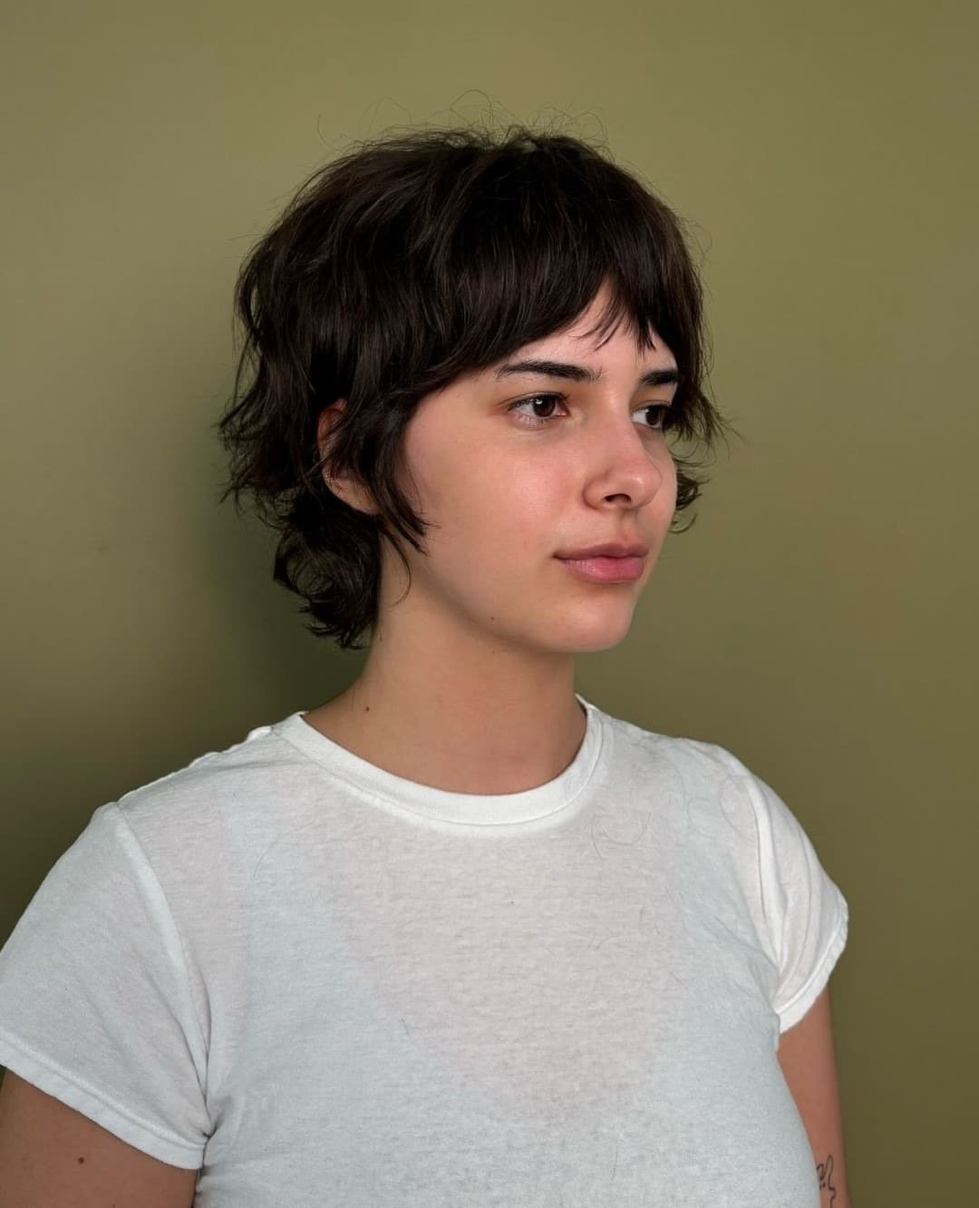 6. Layered Dark Brunette Shag Pixie with Choppy Bangs - Pixie Hairstyles With Bangs