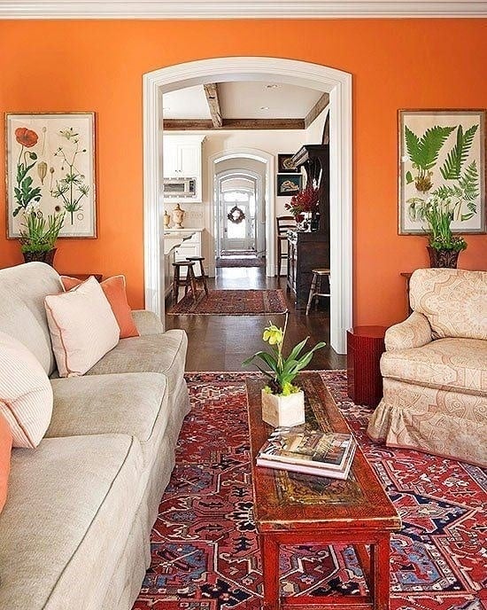 20. Terracotta Orange Living Room with Traditional Rugs and Soft Neutrals - orange living room ideas