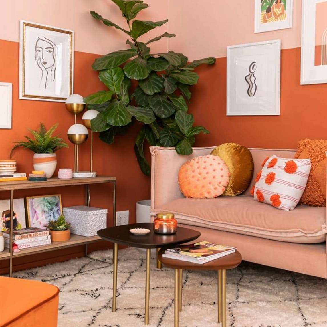 22. Terracotta and Blush Living Room with Botanical Styling - orange living room ideas