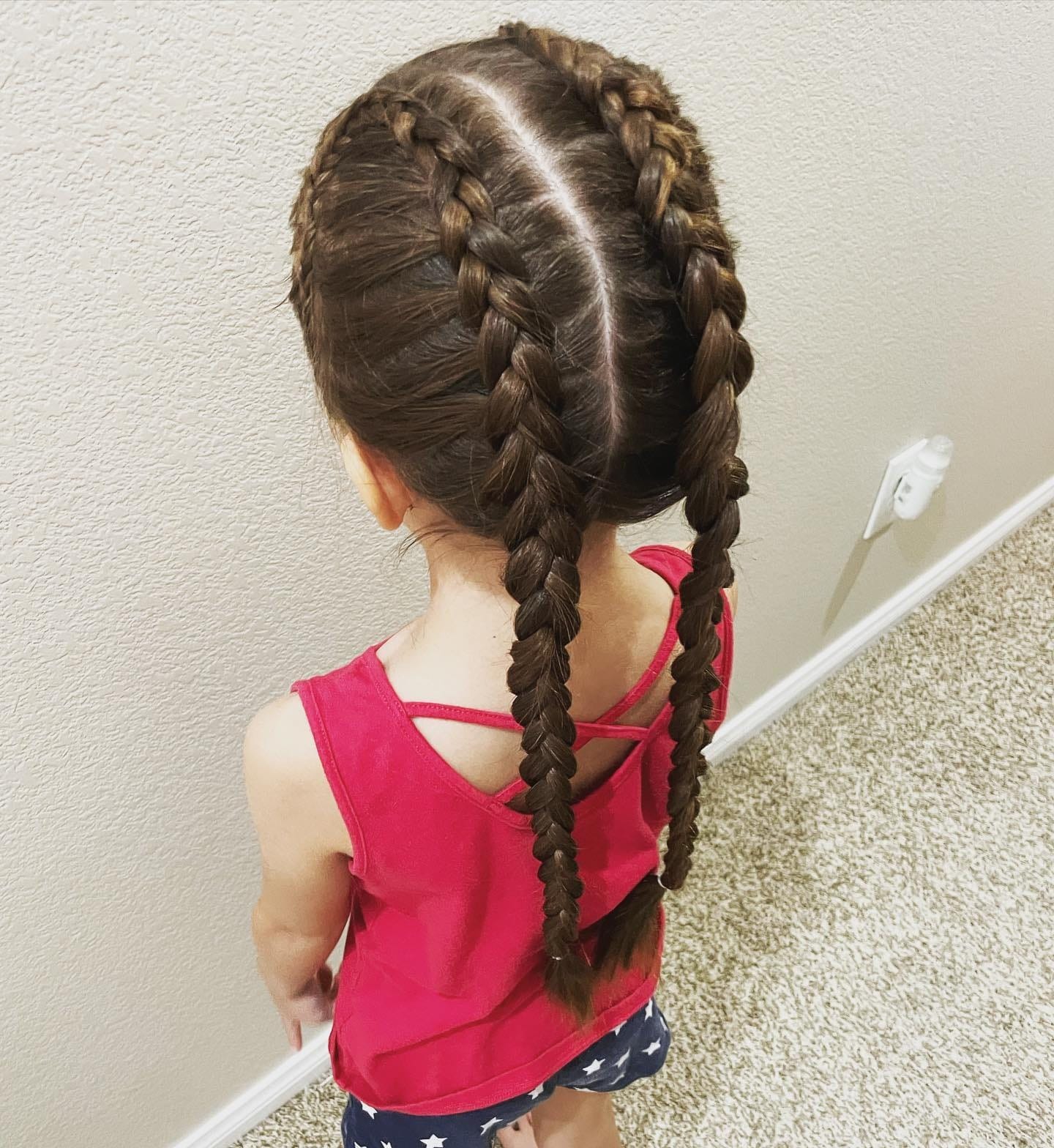 1. Classic Dark Brown Double Dutch Braids - Double Dutch Braids