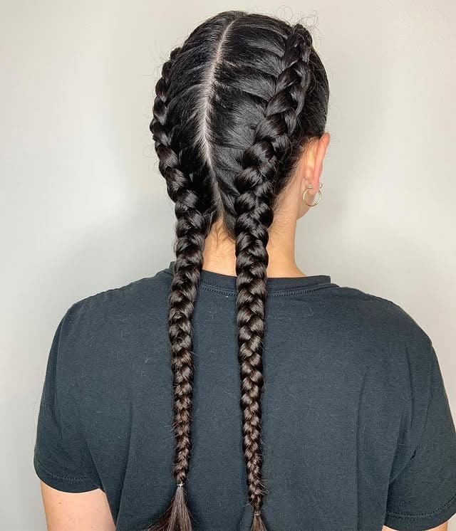 8. Jet Black Double Dutch Braids - Double Dutch Braids
