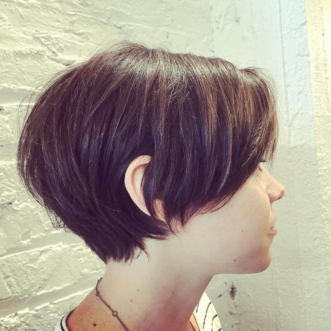 9. Deep Mahogany Shaggy Pixie Bob - Shaggy Pixie Hairstyles