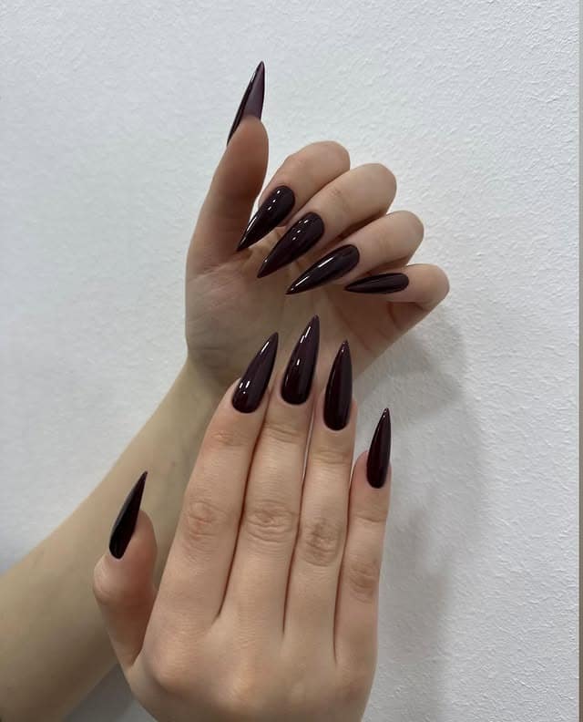 16. Deep Espresso Gloss Stiletto Nails - stiletto nail ideas