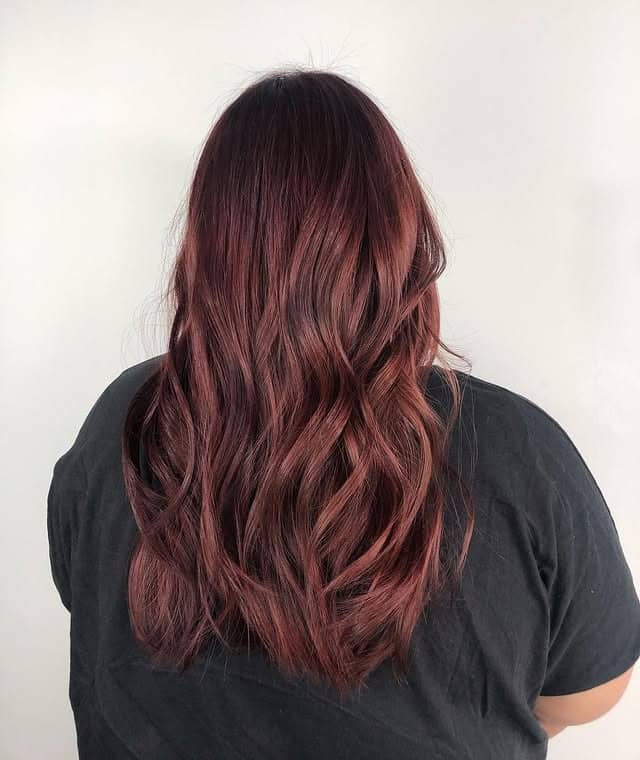 7. Burgundy Rose Brown Dimension - Rose Brown Hair Color