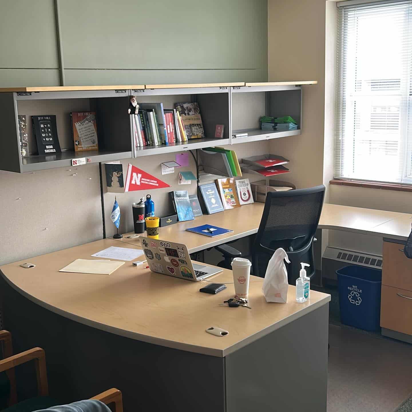 13. Sage Green Teacher Office Idea with Light Wood Finishes - teacher office ideas