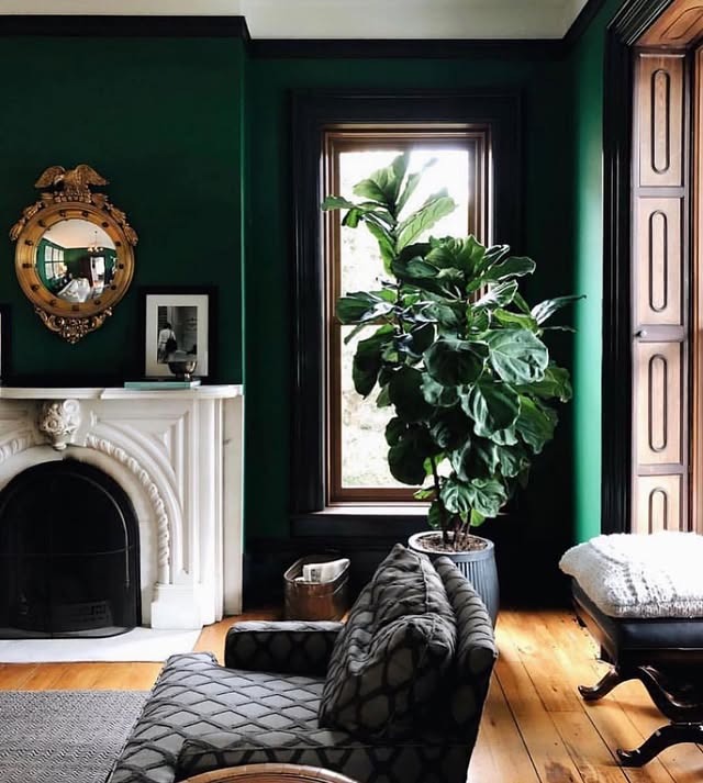 6. Dark Green Living Room with White Fireplace and Indoor Plant - dark green living room ideas