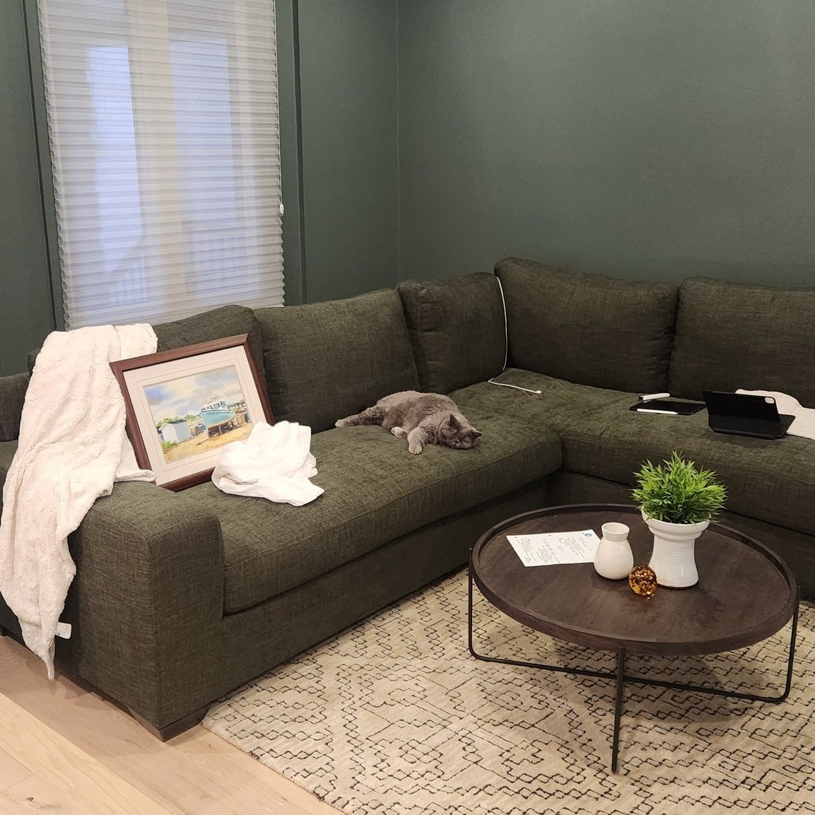 17. Small Dark Green Living Room with Gray Sectional - dark green living room ideas