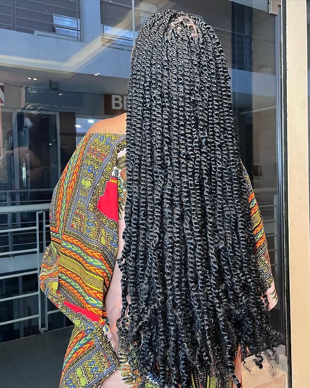 1. Long Black Passion Twist Braids - Twist Braid Hairstyles