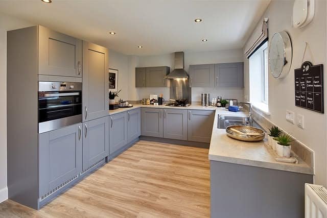 13. Light Gray Shaker Kitchen with Open Layout - gray kitchen cabinet ideas