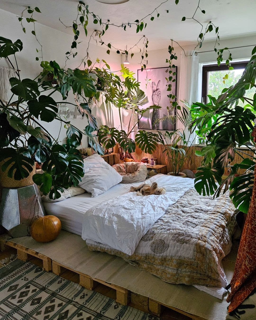 19. Tropical Bedroom Ideas with Plants and Crisp White Decor - bedroom ideas with plants