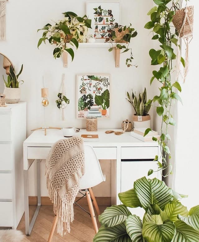 2. Soft White and Leaf Green Boho Office with Trailing Plants - boho office ideas