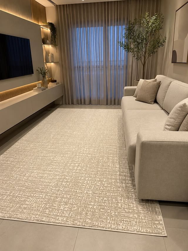 1. Warm Beige Modern Rug Living Room Idea - jure rug living room ideas