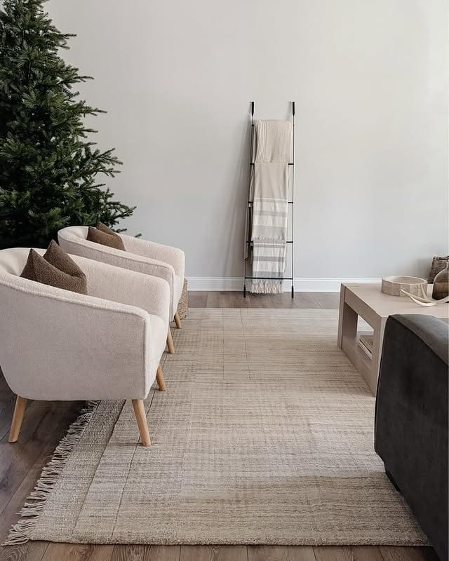 2. Soft Greige Minimalist Rug Living Room Idea - jure rug living room ideas