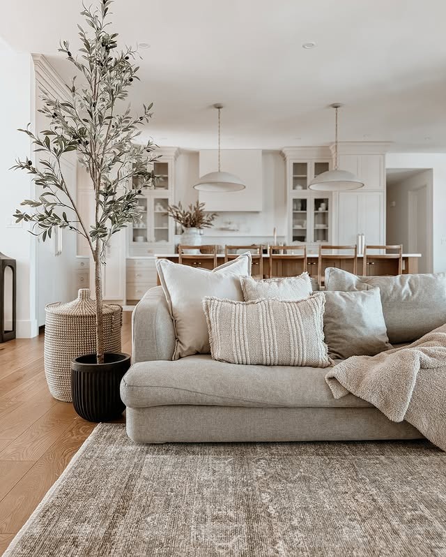 19. Warm Greige Distressed Rug Living Room Idea - jure rug living room ideas
