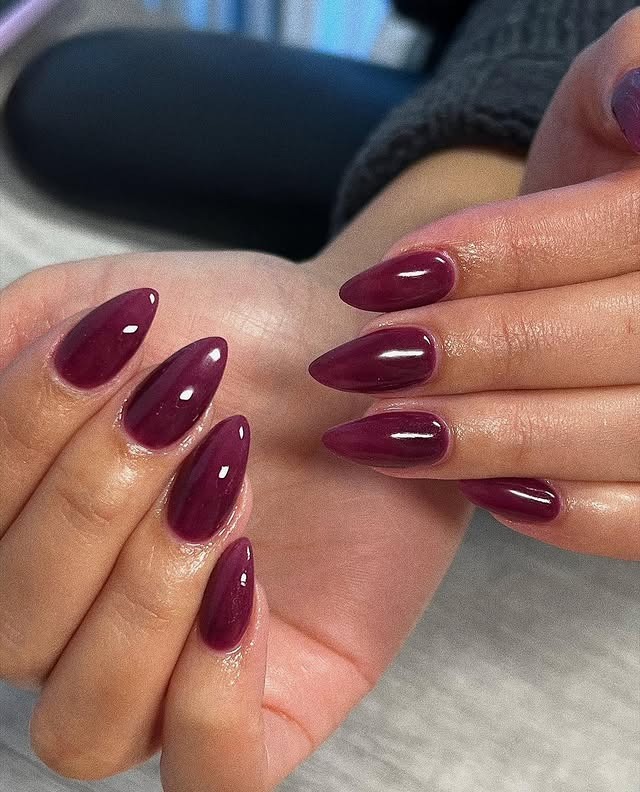12. Deep Plum Almond Dip Powder Nails - dip powder nail ideas