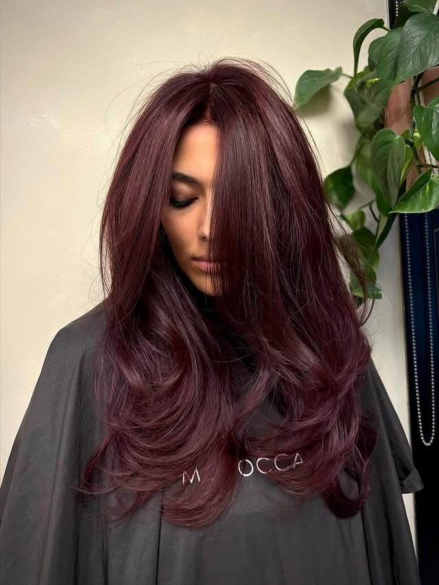 13. Smoky Cherry Cola Hair with Feathered Layers - Cherry Cola Hair Color